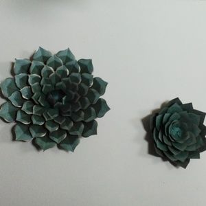 Meet your Posher, Tania